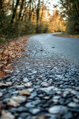 Wall Mural - A serene scene of a paved road lined with trees and leaves