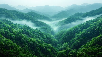 Wall Mural - lush green mountains with mist creating a serene landscape at dawn in a remote forest region