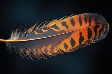 Poster - Close-up shot of a single feather on a dark background