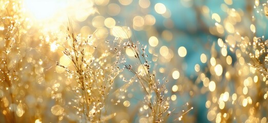 Poster - Golden grass illuminated by sunlight creating a dreamy bokeh effect, copy space for text