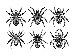Collection of spider illustrations silhouette isolated on white background