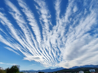 Wall Mural - white, clouds, in, the, blue, sky, beautiful, clouds, background, image, banner, design, high, resol