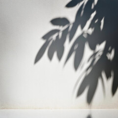 Wall Mural - Elegant Plant Shadow on White Textured Wall – Minimalist Aesthetic, Natural Light, and Botanical Silhouette for Modern Interior Design