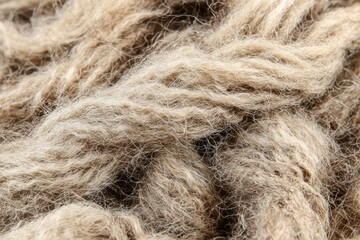 Poster - Detailed macro shot of natural sheep wool, showcasing its texture and fiber, in a soft, warm beige color, perfect for textile design and creative backgrounds.