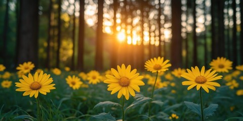 Wall Mural - vibrant yellow flowers blooming in a lush forest at sunset, creating a serene and picturesque scene.