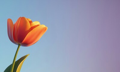 Wall Mural - A stunning orange tulip blooming against a soft gradient sky, symbolizing beauty and renewal.