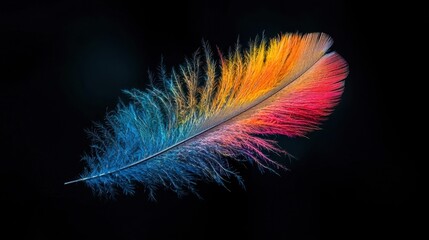Fototapete - Bright rainbow-hued feather with delicate barbs, illuminated with soft shimmering light.