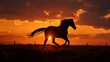 © Prakakrong - Silhouette of a horse galloping at sunset