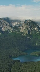 Wall Mural - aerial view of famous black lake in mountain durmitor park at summer, montenegro. vertical video