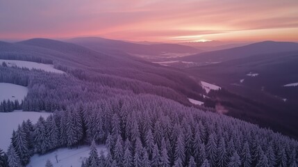 Wall Mural - aerial view of snow-covered mountains and pine trees during a colorful sunset.
