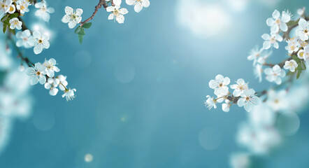 Wall Mural - blossom tree over nature background. spring flowers. spring background