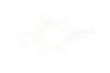 © Myimages - White sparkle light effect isolated on transparent background. Glowing silver white light. Shining star, light spark with rays. Light sparkle bling effect. Light PNG. Flare light, lens flare