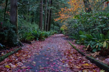 Poster - A scenic path through a lush forest, adorned with vibrant autumn foliage, A tranquil forest path lined with colorful autumn leaves