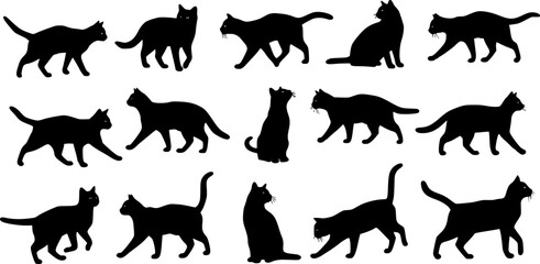  cats set silhouette isolated vector
