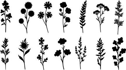 flowers, plants set silhouette isolated vector
