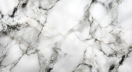 Poster - Elegant White Marble Background with Dark Veins and Natural Patterns for Use in Design Projects and Interiors