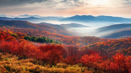 Wall Mural - sunlight illuminates a misty valley and distant mountain range, creating a breathtaking view of the 