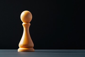 Poster - clean shot of single game piece standing on solid black background illuminated by soft focused light