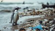 © sudari - Solitary Penguin Amidst Coastal Pollution: A Somber Seascape