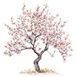 © Mori Deci - A watercolor illustration of a tree in full bloom, featuring soft pink blossoms.