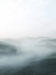 Wall Mural - ethereal forest landscape with low-lying fog covering the rolling hills