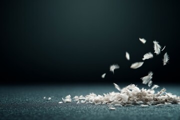 Poster - White feathers float gently in the air, softly illuminated by natural light, highlighting their fragile beauty and serenity in motion, with space for text