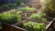 © HPMP Studio - Cultivating Fresh Vegetables Home Gardening in Raised Garden Beds