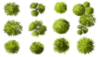 vector watercolor green tree or forest top view isolated on white background for landscape plan and 