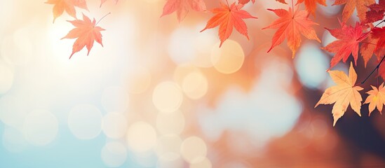 Poster - Vibrant autumn background featuring blurred multicolored maple leaves in shades of red and orange positioned on the left side against a soft bokeh effect