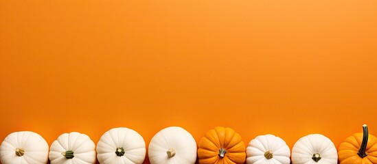 Poster - Top view of white mini pumpkins arranged horizontally on a vibrant orange background, creating a festive Thanksgiving greeting card design.