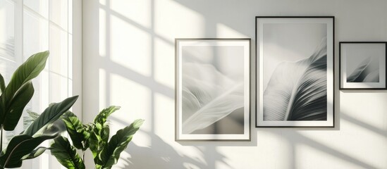 Fototapete - Minimalist interior design featuring black and white framed artwork on a bright wall, accompanied by lush green plant in sunlight shadows.