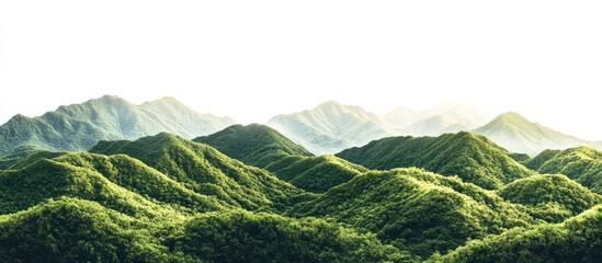 Aufkleber - Lush green mountains with varying heights in the foreground fade into lighter green peaks against a bright white background creating depth.