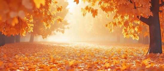 Aufkleber - Autumn landscape with golden orange leaves covering the ground under the warm sunlight creating a serene and peaceful atmosphere in the background.
