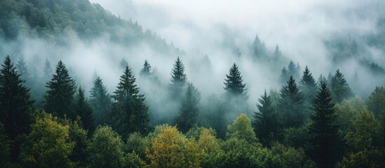 Aufkleber - Misty mountains in a captivating landscape with atmospheric fog above lush green and yellow trees in the foreground creating a serene ambiance