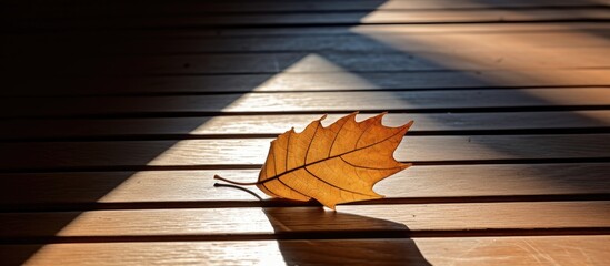 Poster - Autumn leaf rests on wooden floorboards with late day shadows creating sharp lines and warm hues for a captivating abstract space.