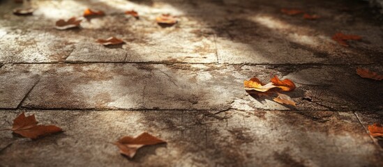 Poster - Autumn forest ground covered with fallen orange and brown leaves against dark and light brown tones creating a rich earthy landscape scene