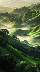 Poster - Misty valley enveloped in lush green hills and serene nature at dawn