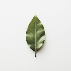 Poster - Fresh bay leaf on a light background showcasing its deep green color and unique texture for culinary uses