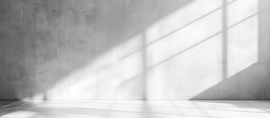 Poster - Bright Minimalist Interior with Soft Shadows on Concrete Wall and Floor, Ideal for Background or Photography Projects with Modern Aesthetic