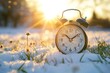 © Selvi - Vintage Alarm Clock in Snowy Grass at Sunrise