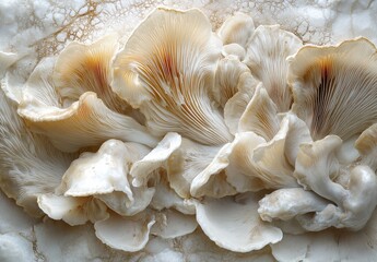 Poster - Delicate White Mushrooms on Natural Stone Surface with Intricate Patterns and Soft Light Creating a Serene and Organic Aesthetic for Nature Lovers