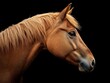 © Sakdecha - Elegant Horse Profile on Black Background