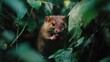 © riski - A small rodent nibbling on food amidst lush green foliage in a vibrant natural setting