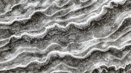 Poster - Icy Patterns of Snowy Branches in Macro Detail