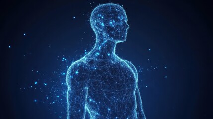 Poster - abstract digital human body. polygonal wireframe silhouette. low poly anatomy blue background.