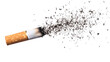 © Innovative Shots - Cigarette ash flying isolated on white background