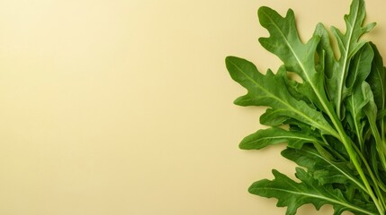 Poster - A close-up view of a single arugula leaf highlights its crisp texture and vibrant color against a soft pale yellow background, ideal for design use