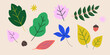 © Seiju - Seasonal leaves in various shapes and colors