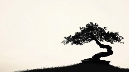 Poster - A small bonsai tree silhouette on a hill in the daylight