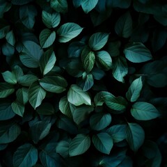 Poster - Emerald Canopy: A Captivating Close-Up of Lush Green Leaves in Deep Shadow, a Natural Tapestry of Texture and Shade